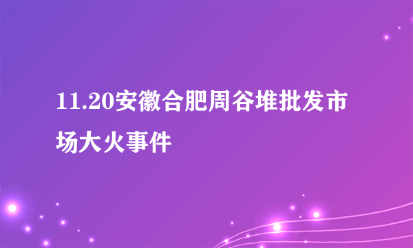 11.20安徽合肥周谷堆批发市场大火事件