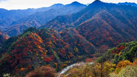 唐家河风景区