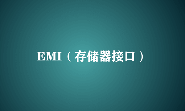 EMI（存储器接口）