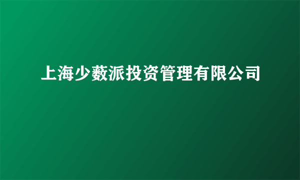 上海少薮派投资管理有限公司