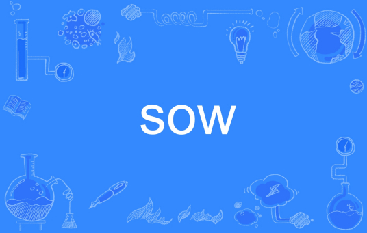 sow（英语单词）