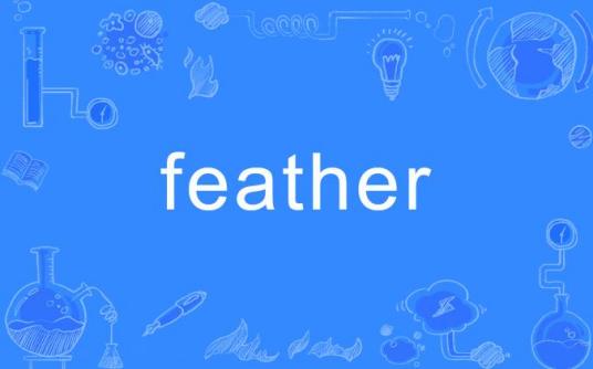 feather（英文单词）