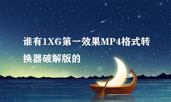 谁有1XG第一效果MP4格式转换器破解版的