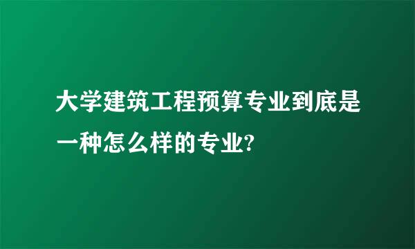 大学建筑工程预算专业到底是一种怎么样的专业?