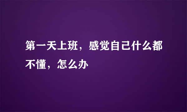 第一天上班，感觉自己什么都不懂，怎么办