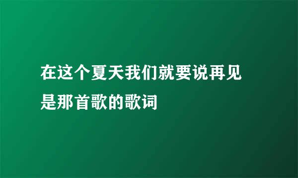 在这个夏天我们就要说再见 是那首歌的歌词