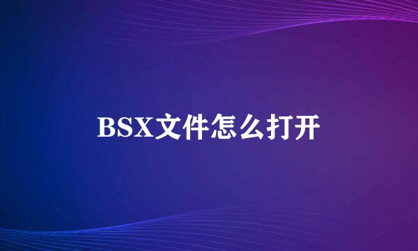 BSX文件怎么打开