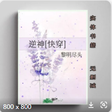 跪求快穿逆神txt百度云