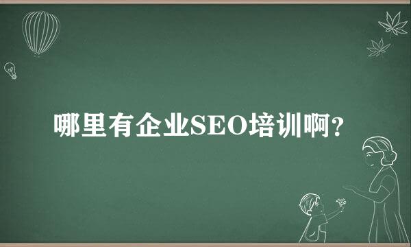 哪里有企业SEO培训啊？