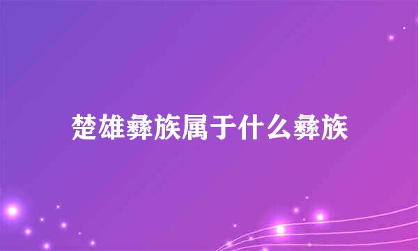 楚雄彝族属于什么彝族