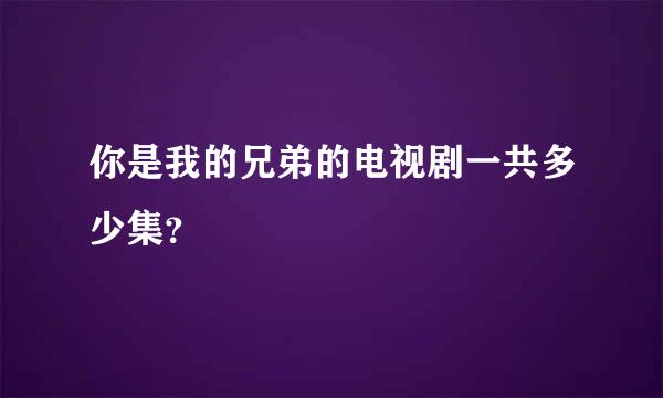 你是我的兄弟的电视剧一共多少集？