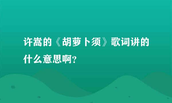 许嵩的《胡萝卜须》歌词讲的什么意思啊？