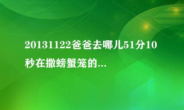 20131122爸爸去哪儿51分10秒在撒螃蟹笼的背景曲子叫什么