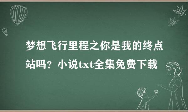 梦想飞行里程之你是我的终点站吗？小说txt全集免费下载