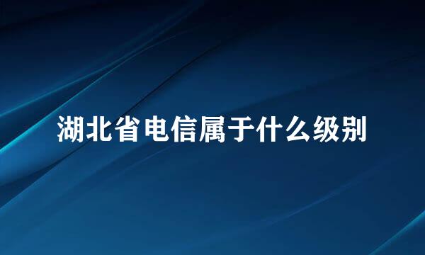 湖北省电信属于什么级别