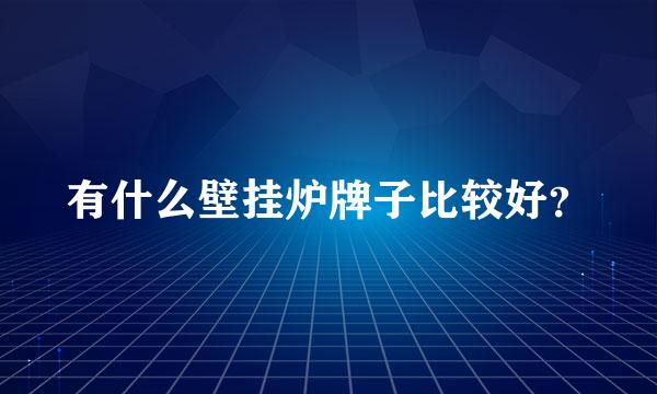 有什么壁挂炉牌子比较好？