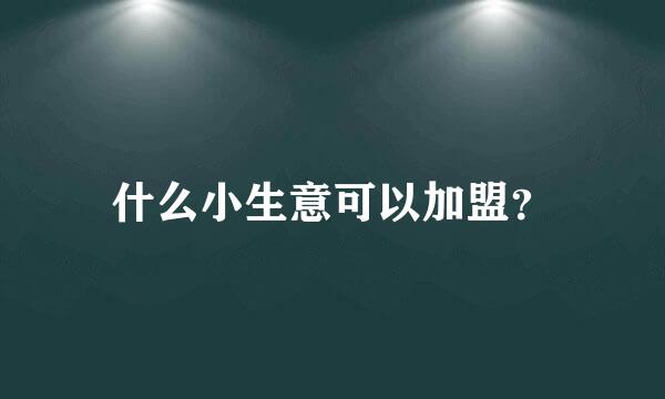 什么小生意可以加盟？