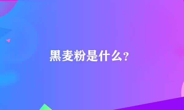 黑麦粉是什么？