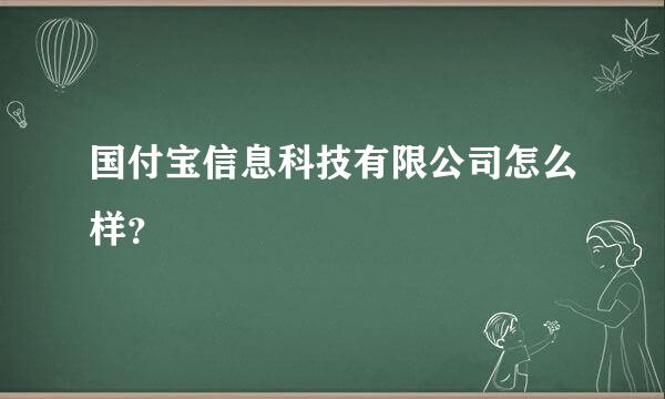 国付宝信息科技有限公司怎么样？