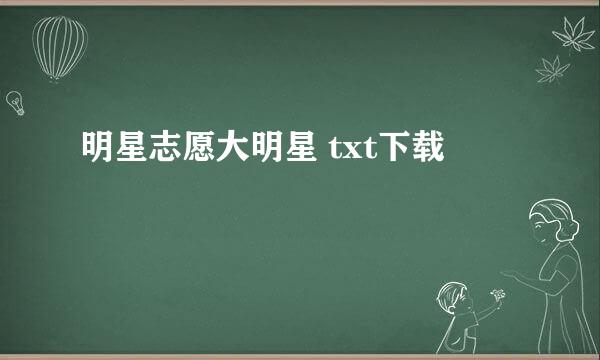 明星志愿大明星 txt下载