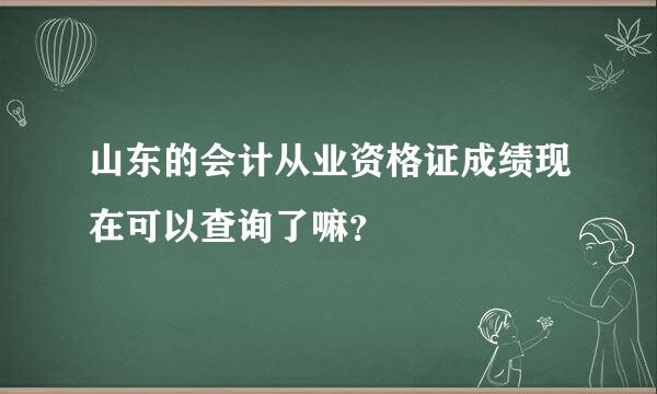 山东的会计从业资格证成绩现在可以查询了嘛？