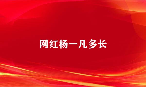 网红杨一凡多长