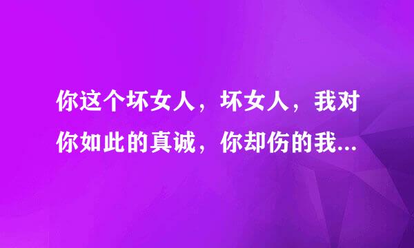 你这个坏女人，坏女人，我对你如此的真诚，你却伤的我最深是什么歌