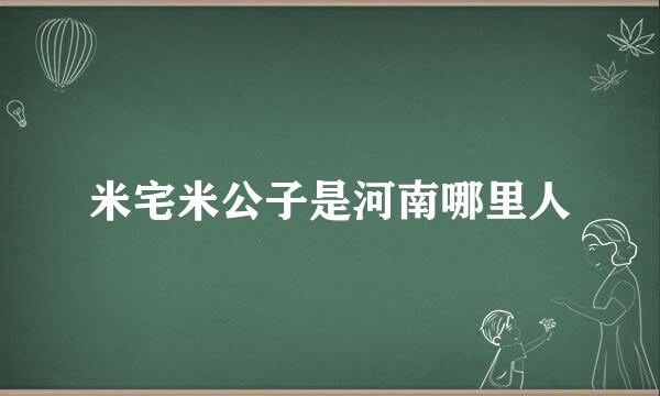 米宅米公子是河南哪里人