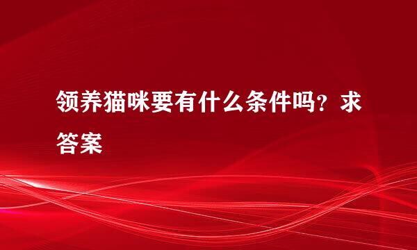 领养猫咪要有什么条件吗？求答案