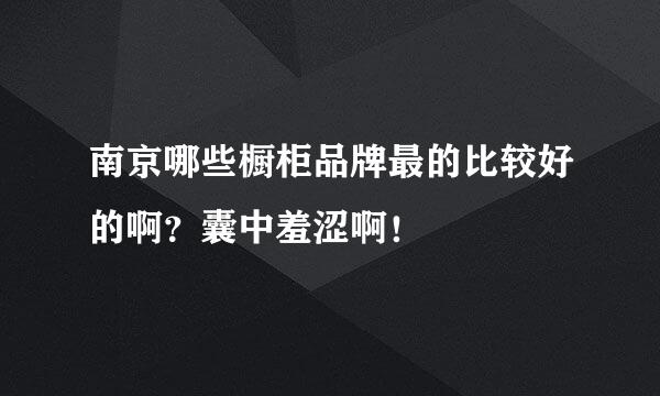 南京哪些橱柜品牌最的比较好的啊？囊中羞涩啊！