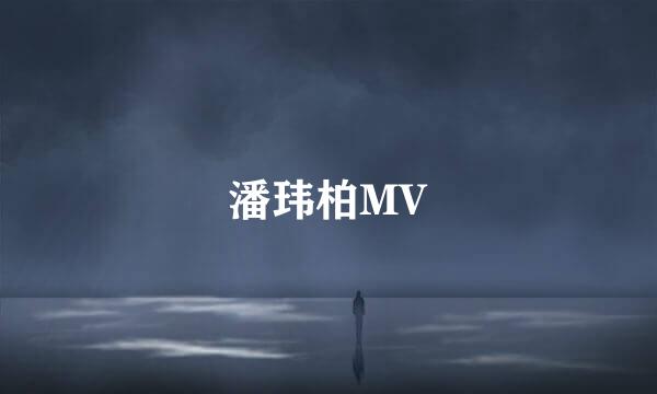 潘玮柏MV