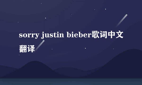 sorry justin bieber歌词中文翻译