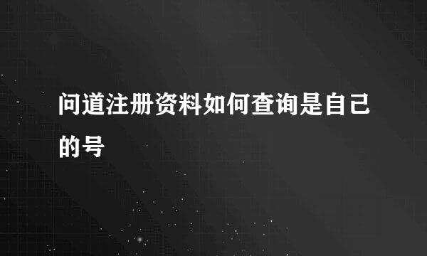 问道注册资料如何查询是自己的号