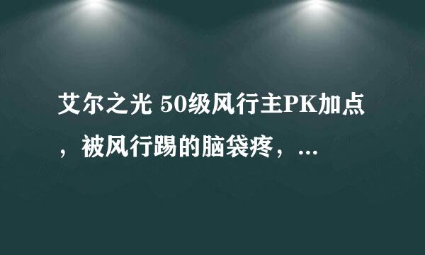 艾尔之光 50级风行主PK加点，被风行踢的脑袋疼，我也练个。要图