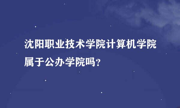 沈阳职业技术学院计算机学院属于公办学院吗？