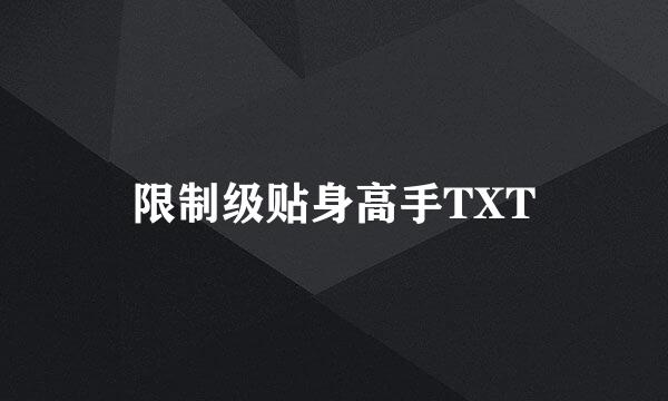 限制级贴身高手TXT