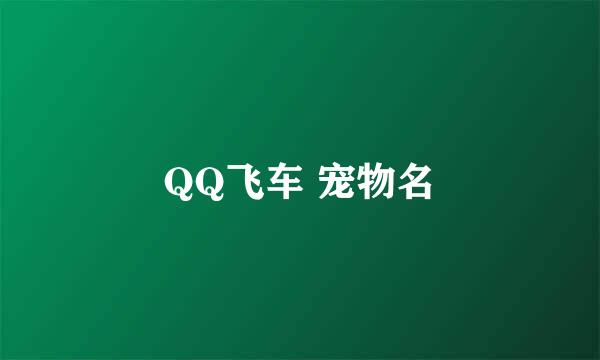 QQ飞车 宠物名