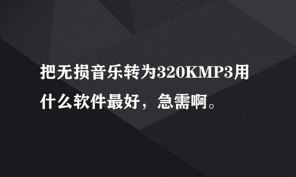 把无损音乐转为320KMP3用什么软件最好，急需啊。