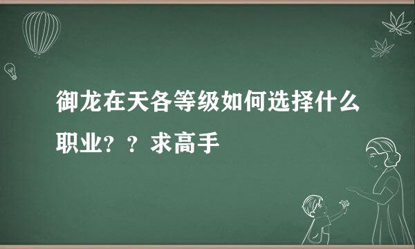 御龙在天各等级如何选择什么职业？？求高手