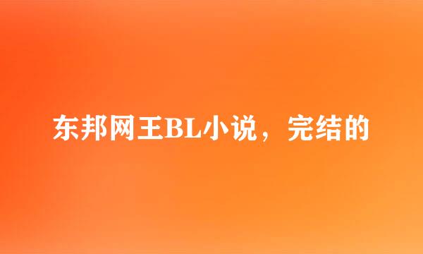 东邦网王BL小说，完结的