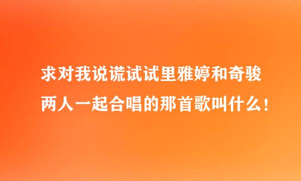 求对我说谎试试里雅婷和奇骏两人一起合唱的那首歌叫什么！