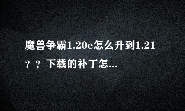 魔兽争霸1.20e怎么升到1.21？？下载的补丁怎么使用？？