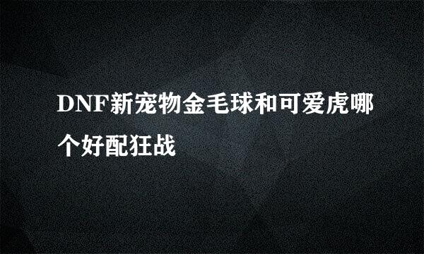 DNF新宠物金毛球和可爱虎哪个好配狂战