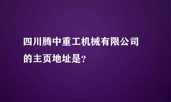 四川腾中重工机械有限公司 的主页地址是？