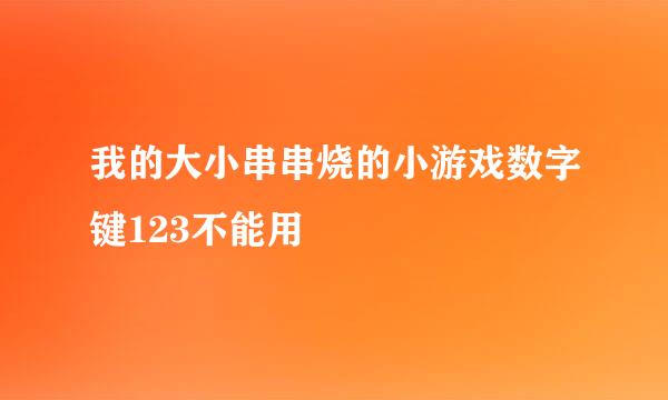 我的大小串串烧的小游戏数字键123不能用