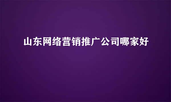 山东网络营销推广公司哪家好