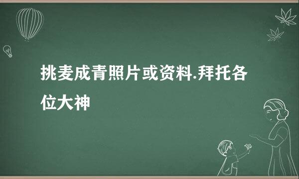 挑麦成青照片或资料.拜托各位大神