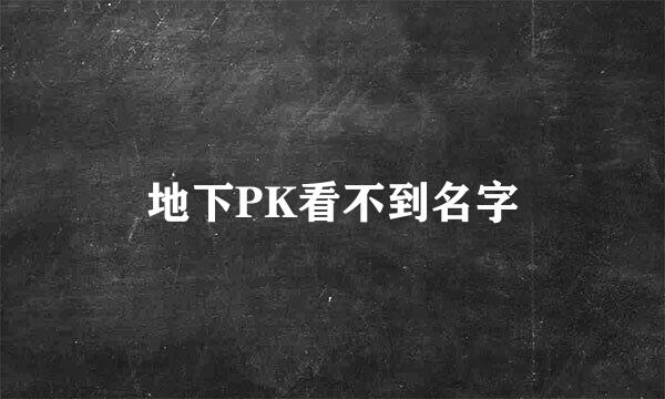 地下PK看不到名字