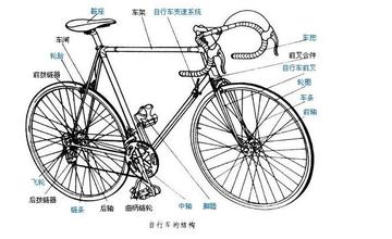 死飞的结构