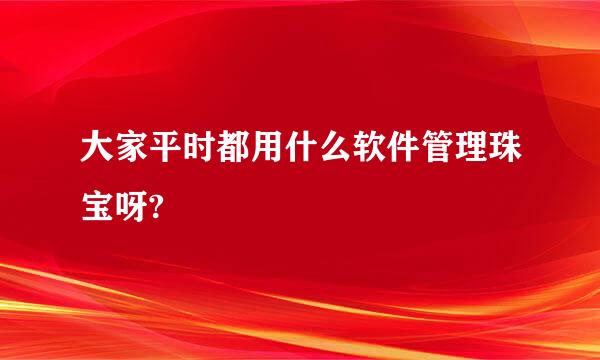 大家平时都用什么软件管理珠宝呀?